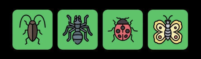 FLIES Daily Combo 6 April 2025